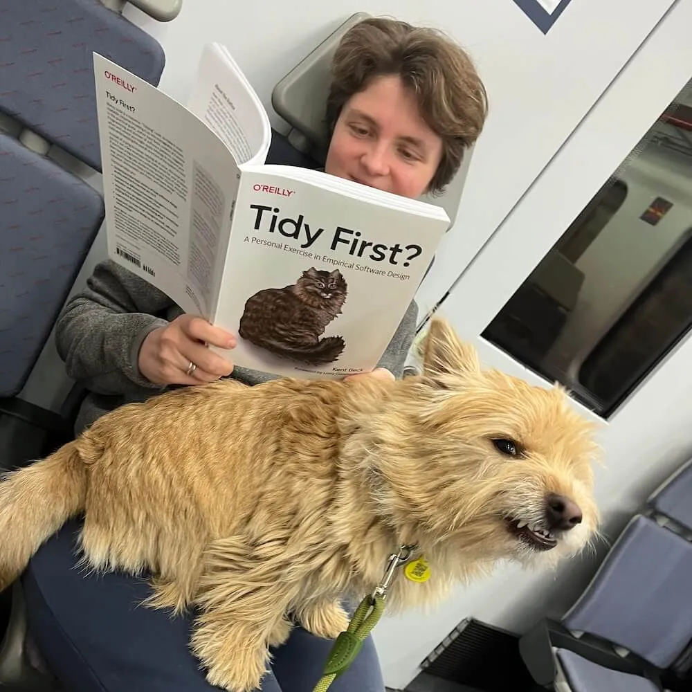 Kate reads Tidy First? book on a train